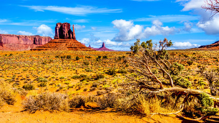 The towering red sandstone formation of West Mitten Butte and a fallen tree in the Navajo Nation's Monument Valley Navajo Tribal Park desert landscape on the border of Arizona and Utah, United States