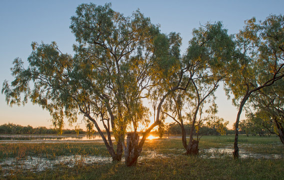 Leichhardt Lagoon In Far North Queensland, Australia.