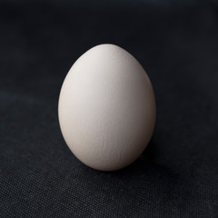 An egg  isolated on a black background