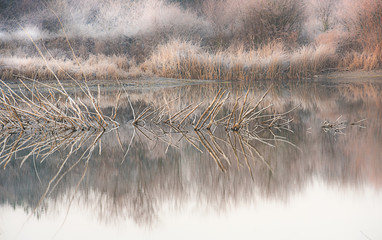 Beautiful nature scenes