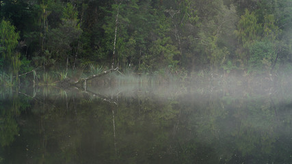 Mirror Tarn at Oparara basin, Kahurangi National Park, New Zealand.