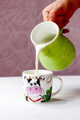 Fresh, homemade milk in a cup made of glass on a white table. Next to a glass of milk lay freshly baked pie. rustic style