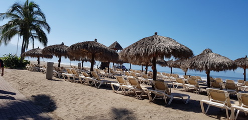 umbrellas on the beach