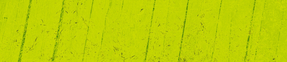 abstract lime and green colors background for design