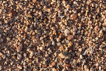 Small pebbles form the background of the sea shore. Coarse multicolor sand.