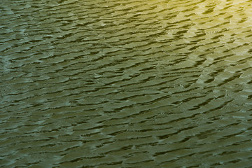 green water surface By wind.Water surface ruffled by light wind with small waves running...