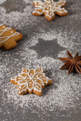 Obraz na płótnie Canvas Christmas cookies on kitchen countertop
