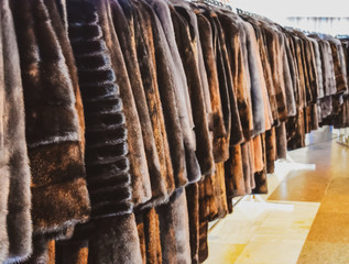 Fur coats on hangers. Fur store. fur coats in a row