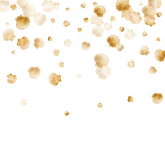 Gold seashells vector, golden pearl bivalved mollusks.