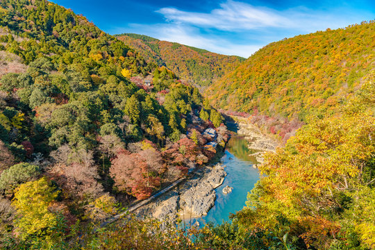 199 Best 嵐山公園 Images Stock Photos Vectors Adobe Stock