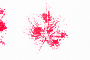 Hand Drawn ink printing leaves on white