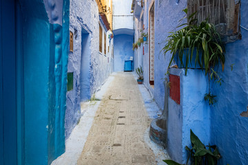 Fototapeta na wymiar Narrow blue alley in Chefchaouen, Morocco