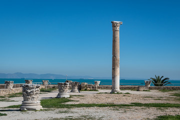 Isolated column in Baths of Antoninus, Carthage
