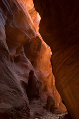 Warm sunlight reflects off of the narrow canyon walls of Wire Pass in southern Utah.