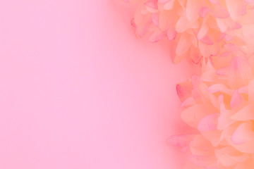 Beautiful abstract color white and pink flowers on white background and white flower frame and orange leaves background texture, flowers banner, pink background