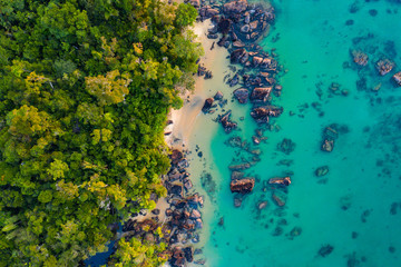 Where Rainforest meets Coral Reef at remote Masoala National Park in Madagascar - obrazy, fototapety, plakaty