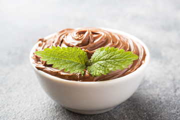 Nougat nut chocolate in a plate on a dark concrete background with hazelnut nuts. Concept of Breakfast.