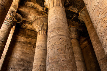 ancient egyptian architecture ruins. hieroglyphs and columns of the Temple of Horus at Edfu, in...
