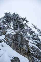 cliff side on the mountain with pine trees grown on top covered with very thick snow on an overcast day