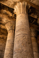 ancient egyptian architecture ruins. hieroglyphs and columns of the Temple of Horus at Edfu, in...