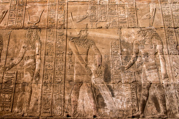 ancient egyptian architecture ruins. hieroglyphs and columns of the Temple of Horus at Edfu, in Egypt