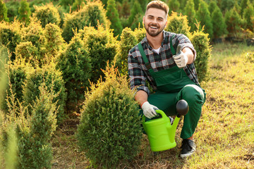 Male gardener showing thumb-up gesture outdoors