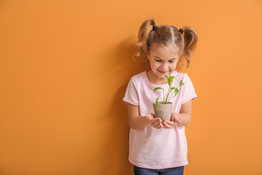 Happy little girl with young plant in pot on color background