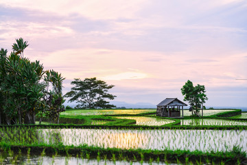 (Selective focus) Stunning view of a farmer hut's and a beautiful and colorful morning sky...