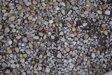Pebble Background