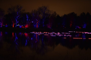 Christmas Lights Reflected
