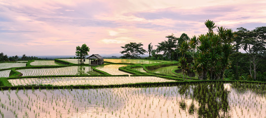 (Selective focus) Stunning view of a farmer hut's and a beautiful and colorful morning sky...