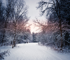 Winter wonderland at the ravine
