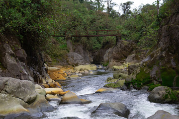 mountain river in the forest