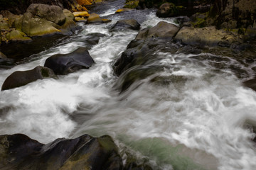 Obraz premium waterfall in forest