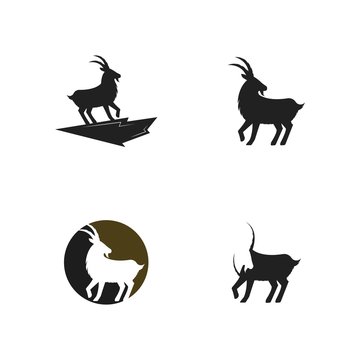 Goat Logo Icon Template vector 
