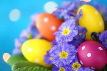 Easter concept. Easter motley eggs in the flowers of primrose blue on a bright blue background with golden bokeh.Holiday Easter spring bright background.Spring Religious holiday