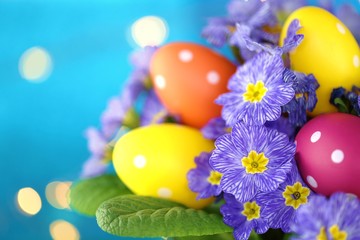 Easter concept. Easter motley eggs in the flowers  of primrose  on a bright blue background with golden bokeh.Holiday Easter spring bright background.Spring Religious holiday