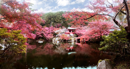Daigo-ji temple with colorful maple trees in autumn, Kyoto, Japan