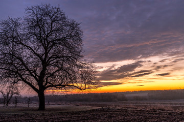 Fototapeta na wymiar Winterliche Landschaft im Sonnenaufgang