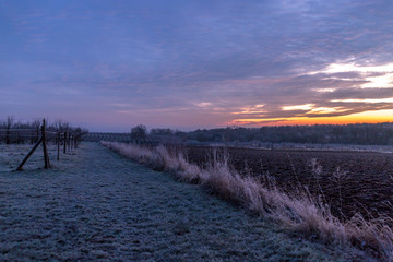 Feldweg im Sonnenaufgang an einem Wintermorgen