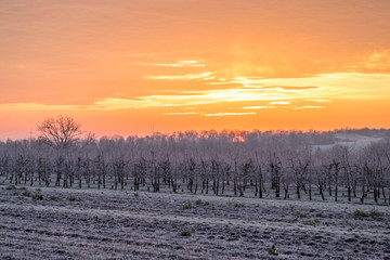 Sonnenaufgang über Obstfeldern im Winter