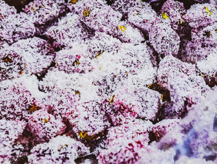 Pieces of marmalade in coconut flakes. Sweets with coconut.