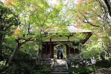 Jojakko-ji Temple, Kyoto, Japan
