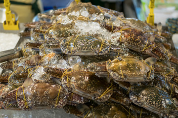 Fresh flower crabs on the ice selling at the night market,Bangkok Thailand.