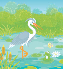 Big grey and white heron and a small green frog on a lake among cane, grass and bushes of a summer meadow, vector cartoon illustration