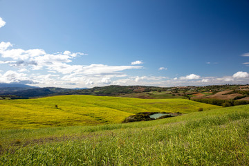 Obraz premium field and blue sky