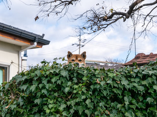 지켜보고 있다.
