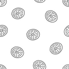 Lemon hand drawn vector illustration