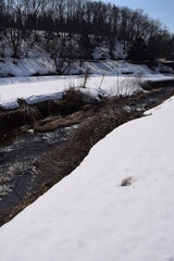 小川の雪溶け、春近し