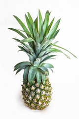 Fototapeta premium A pineapple stands alone on a white background.